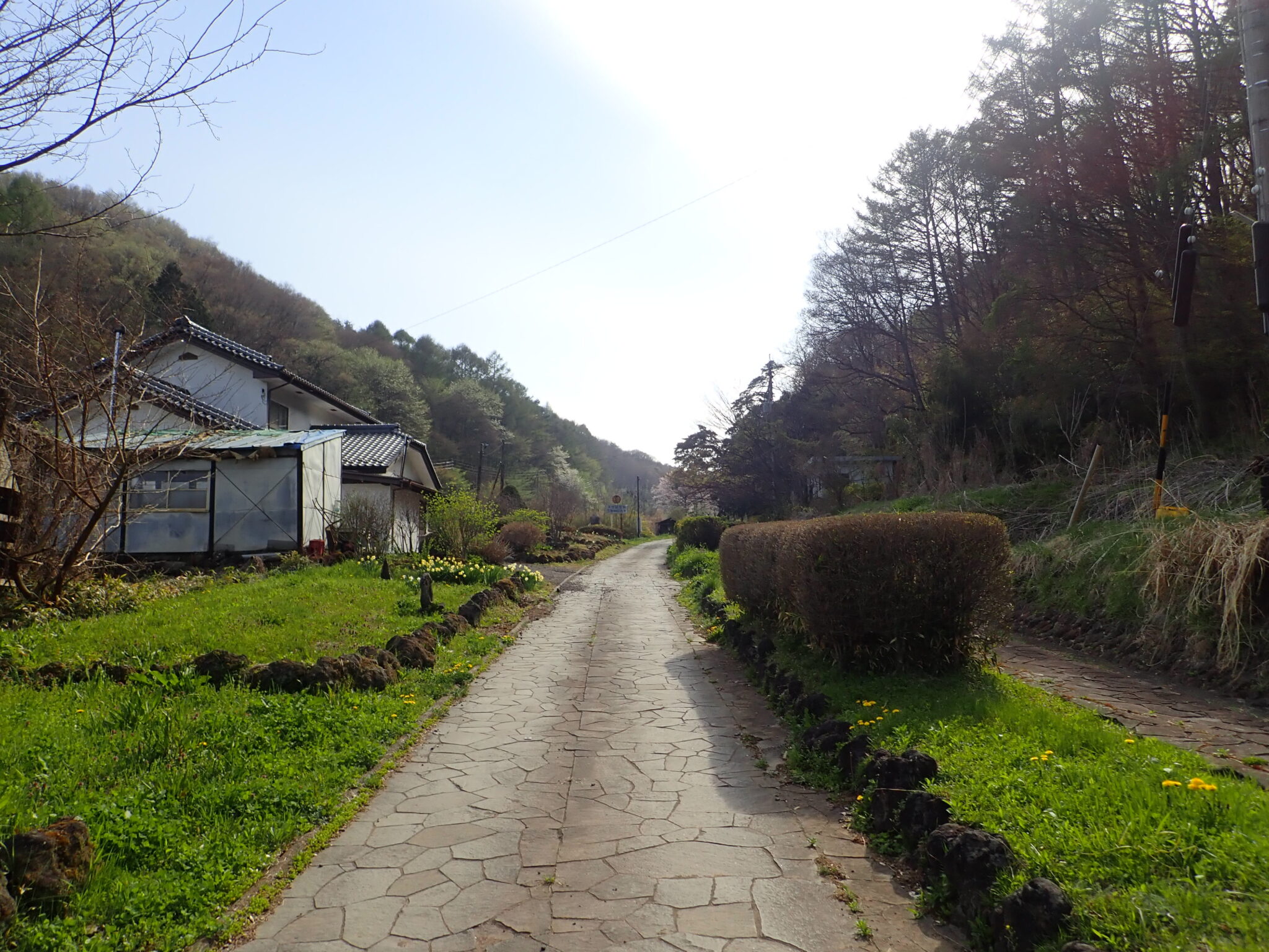 笠取峠の松並木（中山道・芦田宿〜長久保宿間）