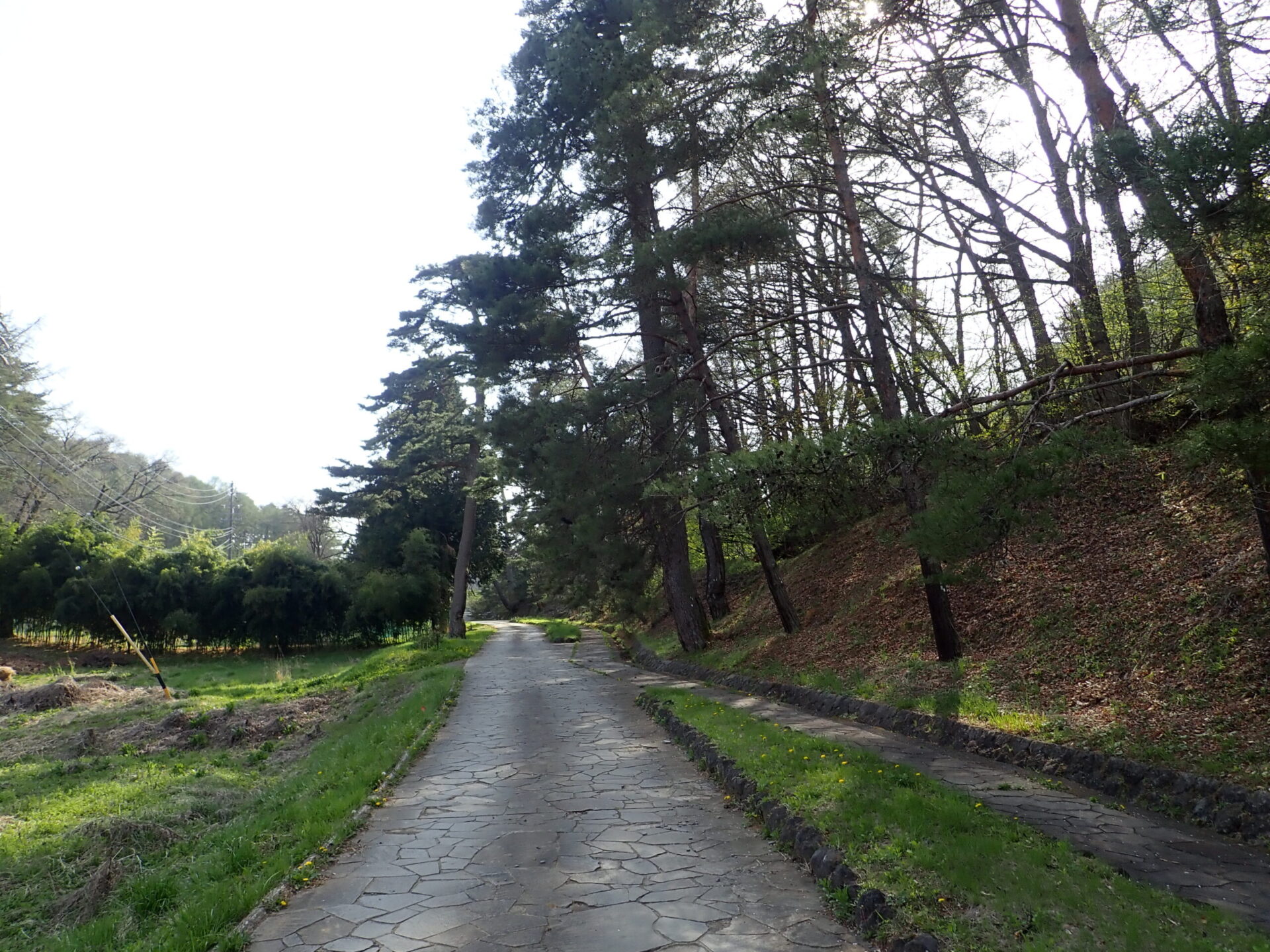 笠取峠の旧中山道（峠道の様子）