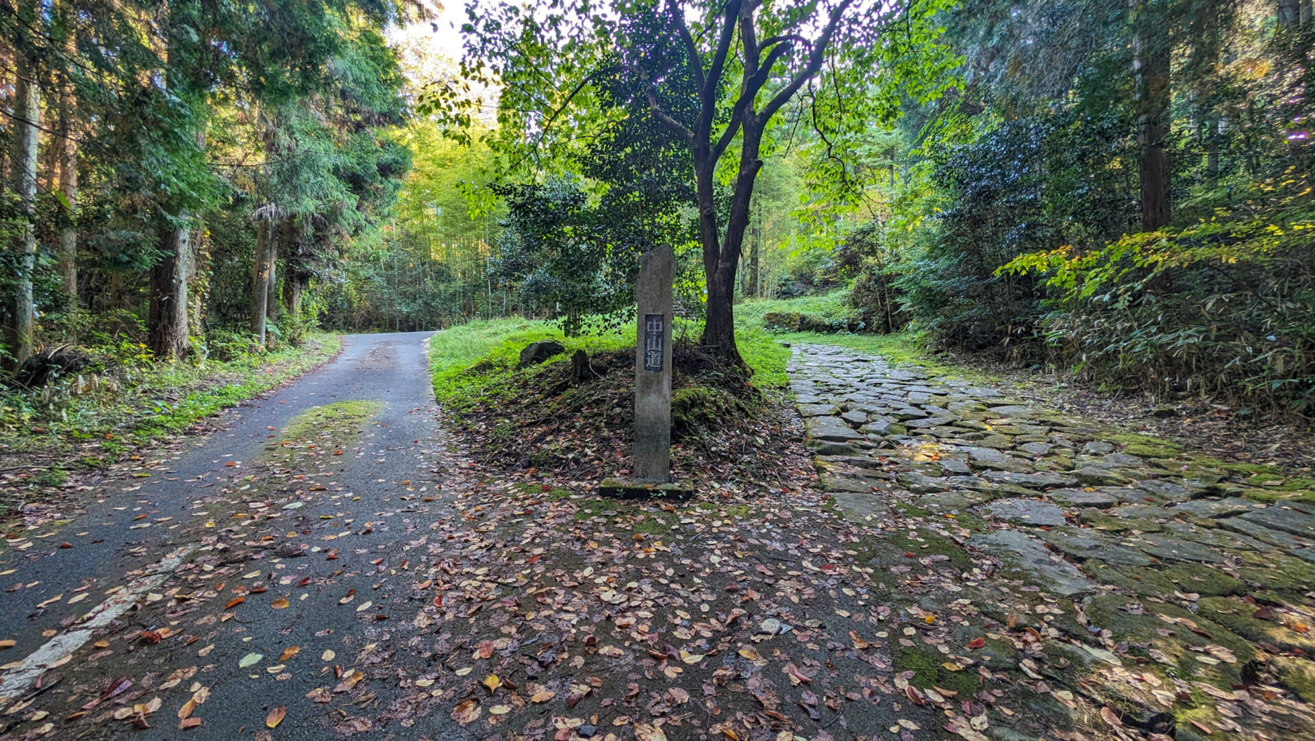 落合の石畳・下り坂(中山道・馬籠宿〜落合宿間)
