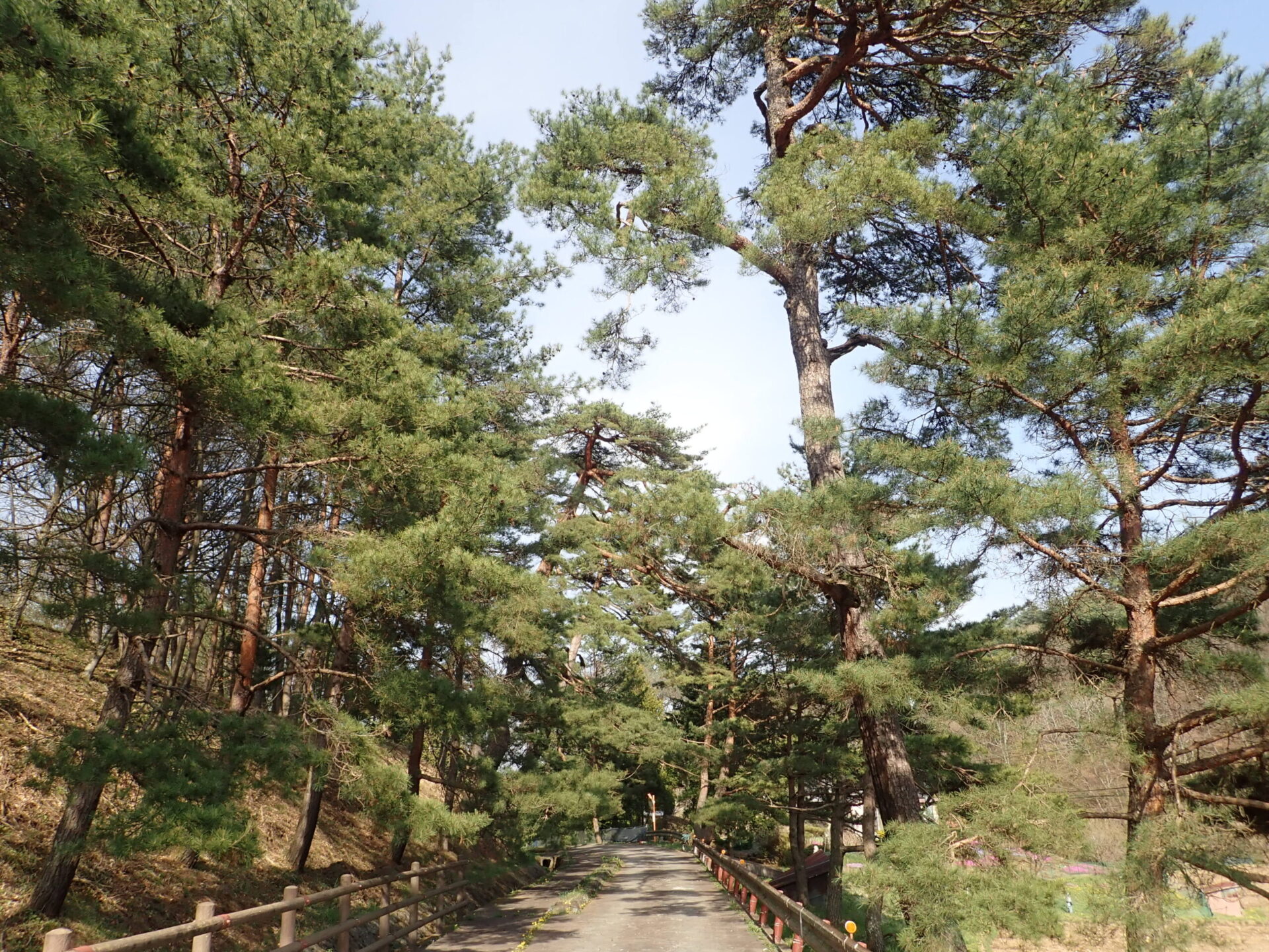 笠取峠から望む景色