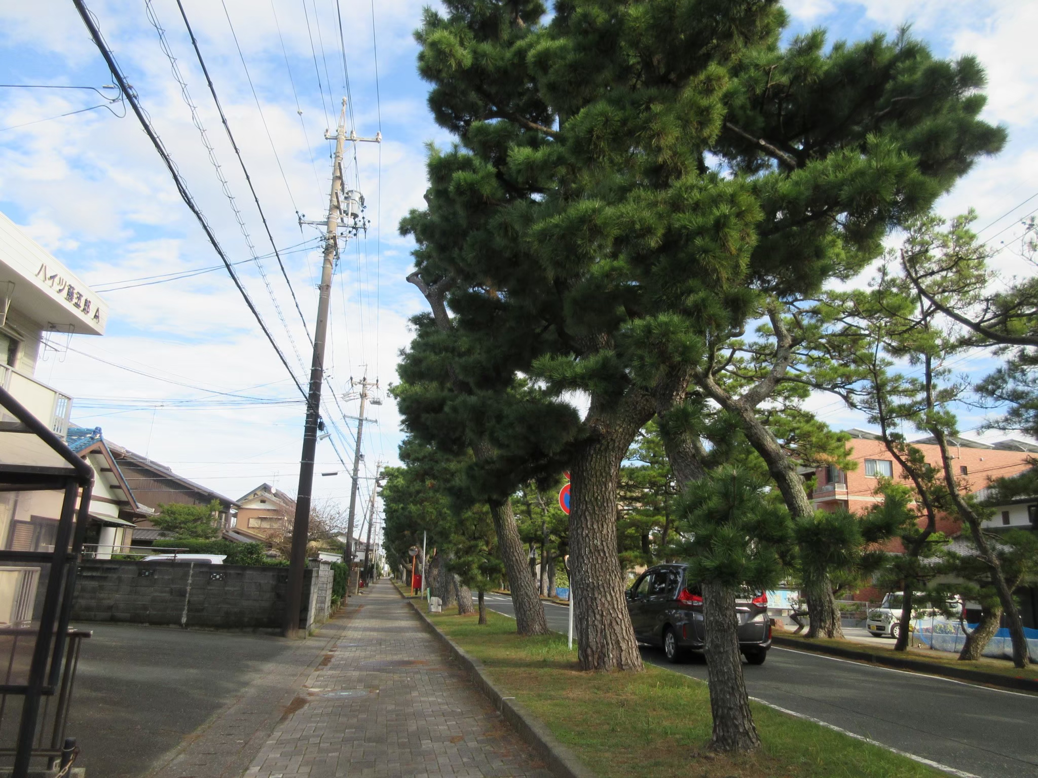 舞阪町の松並木