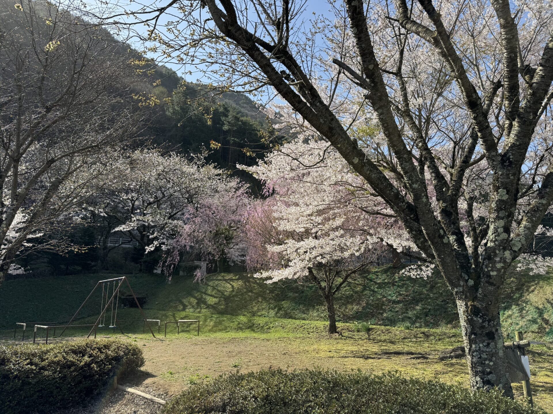 日出塩桜の丘公園(中山道・本山宿〜贄川宿間の休憩スポット)