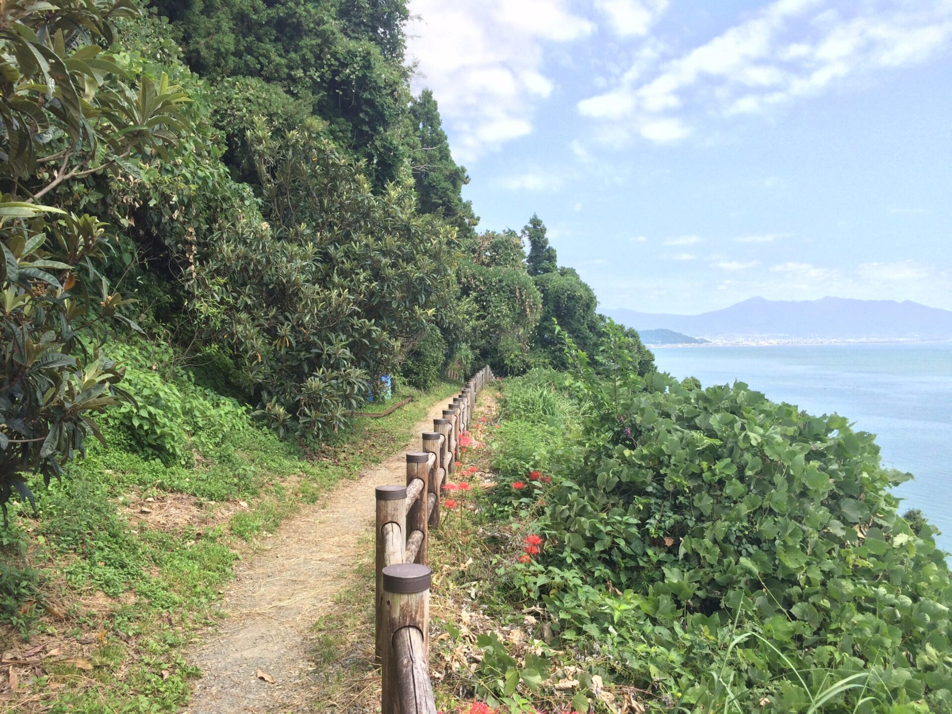 薩埵峠の旧東海道（みかん畑の間を抜ける道）