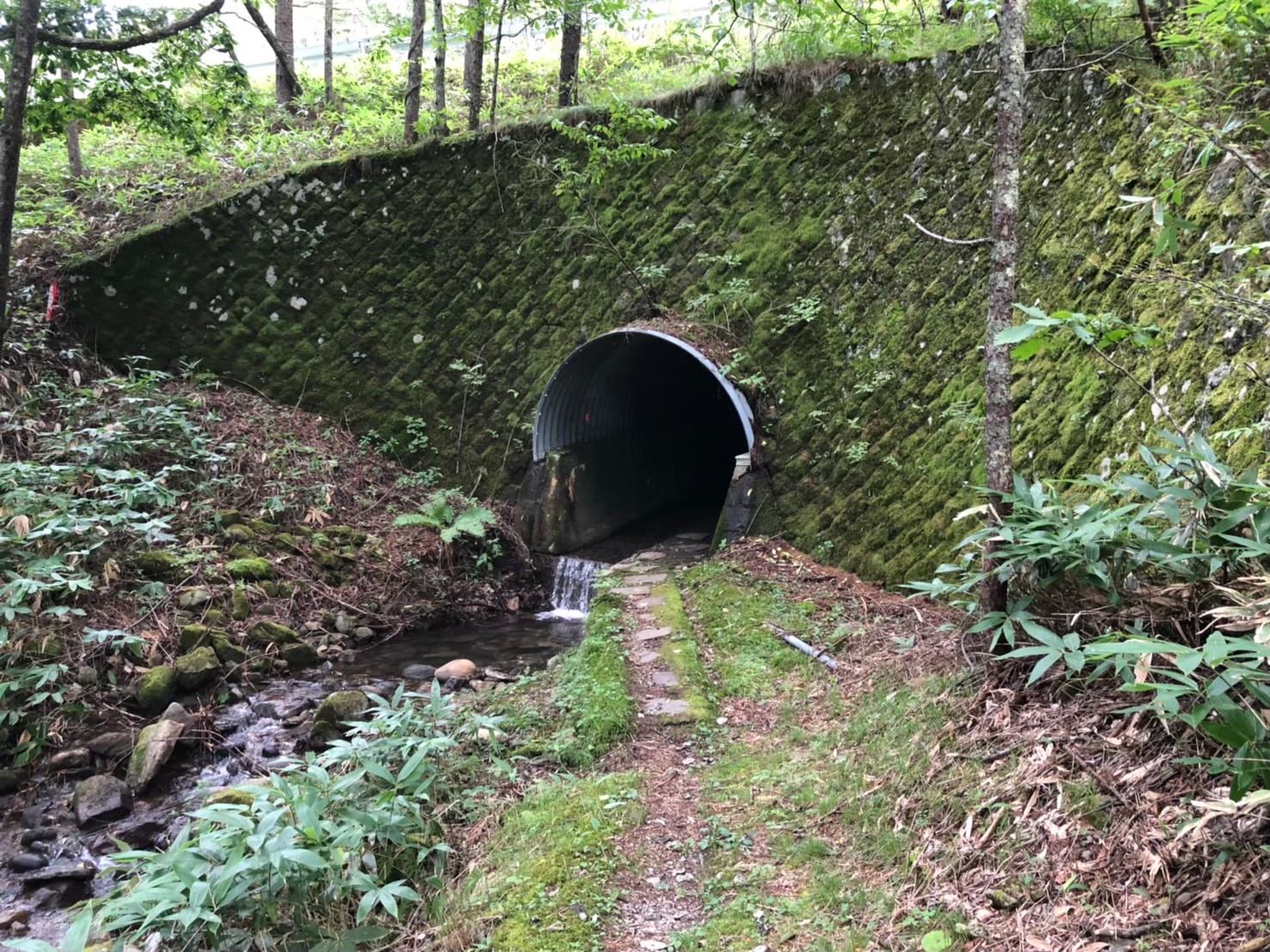 和田峠の道標（中山道）