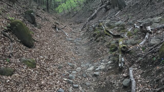 碓氷峠の山道（中山道・坂本宿〜軽井沢宿間）