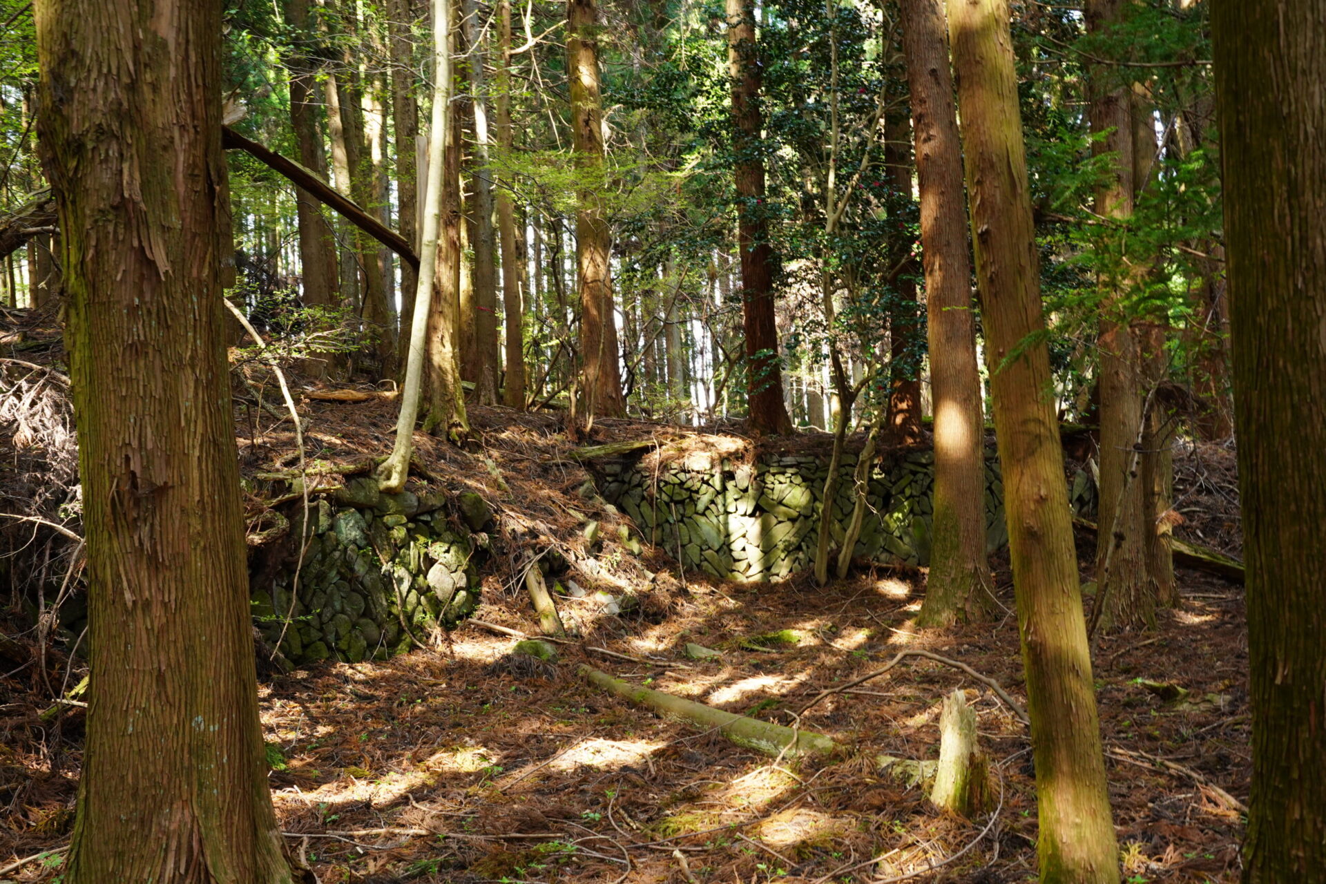 碓氷峠・刎石茶屋跡(中山道・坂本宿〜軽井沢宿間)