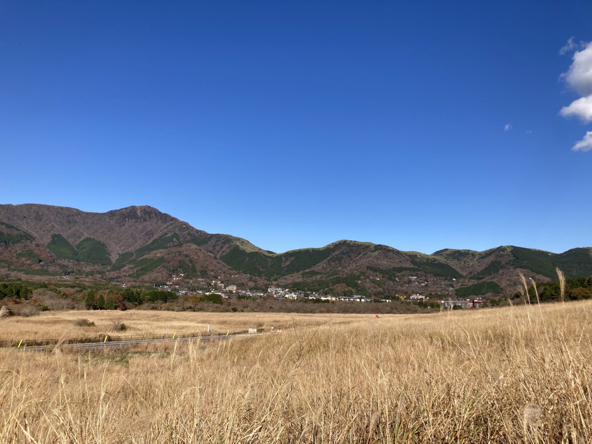 箱根・仙石原のすすき草原